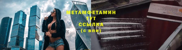 прущие грибы Богородск
