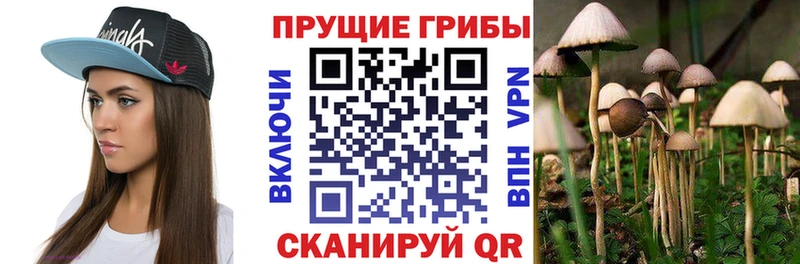 Галлюциногенные грибы мухоморы  Вилюйск 